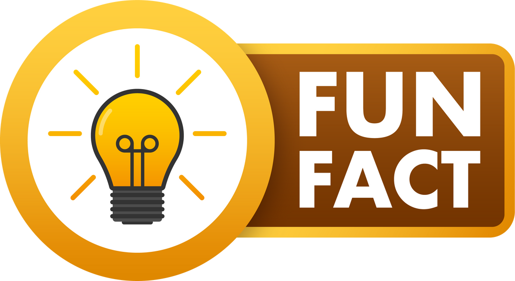 Fun fact label. light bulb. Vector stock illustration.